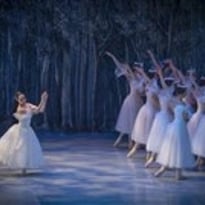 Giselle