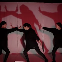 The Shadows : Mythes et Perse-pectives