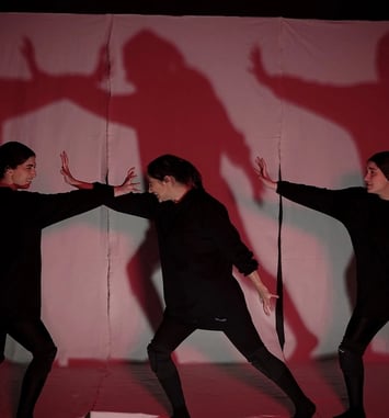 The Shadows : Mythes et Perse-pectives
