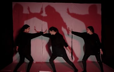 The Shadows : Mythes et Perse-pectives