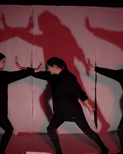 The Shadows : Mythes et Perse-pectives