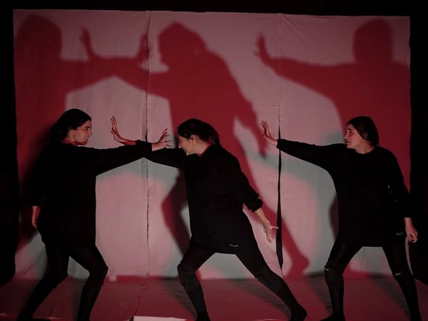 The Shadows : Mythes et Perse-pectives