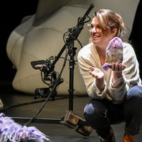 Affects, La Boîte à Sel