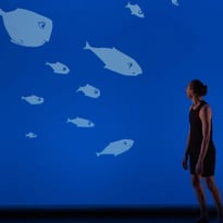 Le Poisson qui Vivait dans les Arbres
