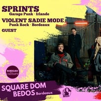 Sprints + Violent Sadie Mod + Guest