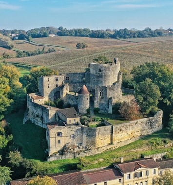 Visite commentée : renaissance d'un château