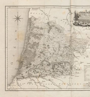 Entre dunes et vignes : le patrimoine naturel dans les collections anciennes des Bibliothèques universitaires de Bordeaux