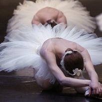 Spectacle "Le Lac des Cygnes"