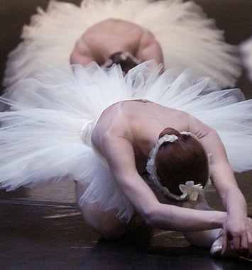 Spectacle "Le Lac des Cygnes"