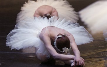 Spectacle "Le Lac des Cygnes"