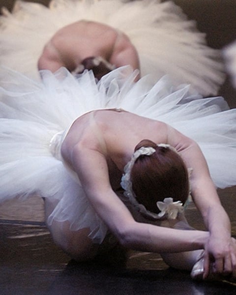 Spectacle "Le Lac des Cygnes"