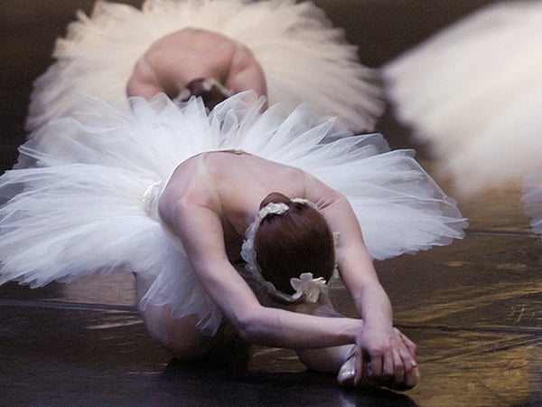 Spectacle "Le Lac des Cygnes"