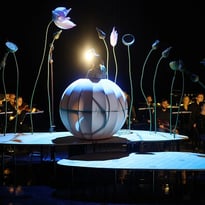 Spectacle "Momo, l'enfant pêche"