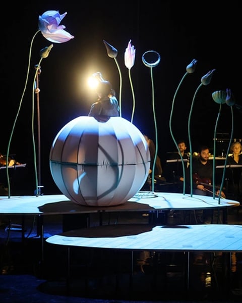 Spectacle "Momo, l'enfant pêche"