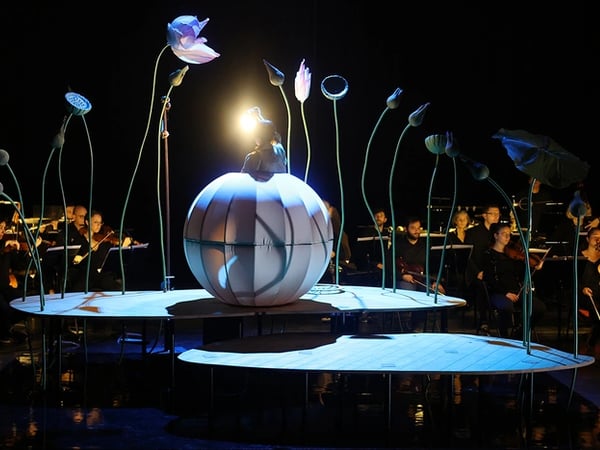 Spectacle "Momo, l'enfant pêche"