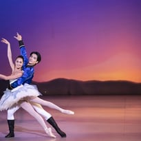Gala d'étoiles : le ballet de l'Opéra de Bordeaux