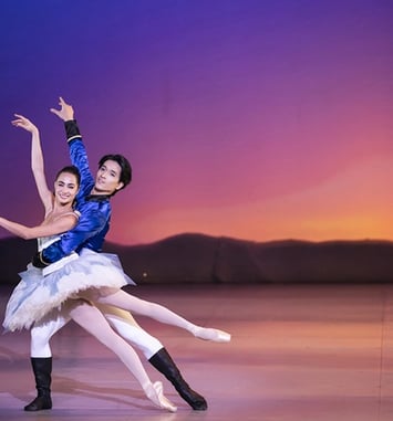 Gala d'étoiles : le ballet de l'Opéra de Bordeaux