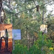 Dévernissage de l'exposition "Instants du Littoral"