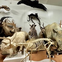 Visite commentée du centre de conservation des collections