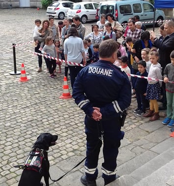 Rencontre avec une équipe maître de chien découverte des métiers de la douane