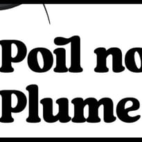 Poil Noir Plume Noire