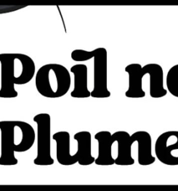 Poil Noir Plume Noire