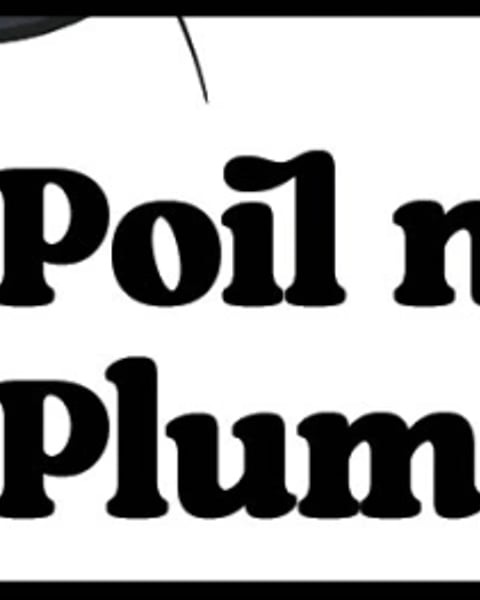 Poil Noir Plume Noire