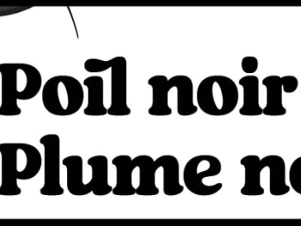 Poil Noir Plume Noire