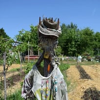 Exposition photographique "Jardins cultivés, Rêves partagés"