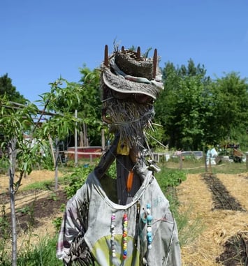 Exposition photographique "Jardins cultivés, Rêves partagés"