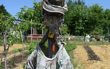 Exposition photographique "Jardins cultivés, Rêves partagés"