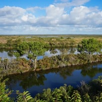 Visite « ornitho-historique » de la réserve ornithologique du Teich