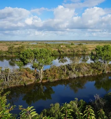 Visite « ornitho-historique » de la réserve ornithologique du Teich