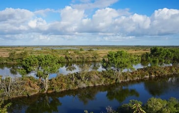 Visite « ornitho-historique » de la réserve ornithologique du Teich