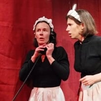 Les Bonnes, Jean Genet