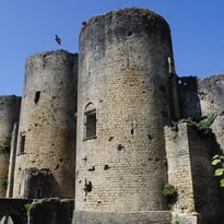 Visite commentée : la vue des douves