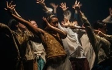 Shechter II, In the Brain