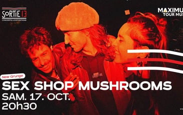 Concert "Sex Shop Mushrooms"