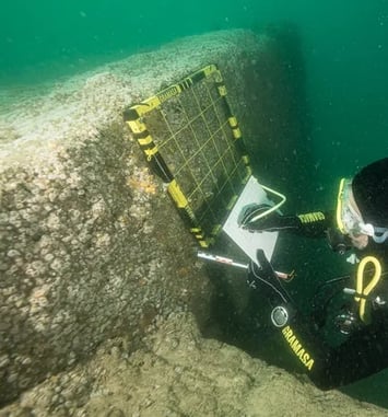 Plongée sous-marine sur les blockhaus engloutis du Bassin d'Arcachon