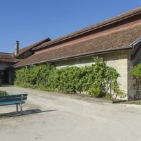 Exposition : les 4 saisons de la vigne