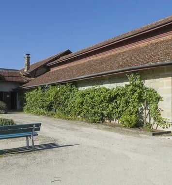 Exposition : les 4 saisons de la vigne