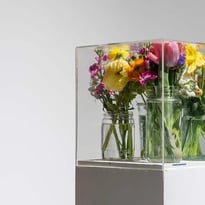 Visite commentée "Twilight zone" de l'exposition "Pollen"
