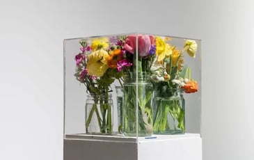 Visite commentée "Twilight zone" de l'exposition "Pollen"