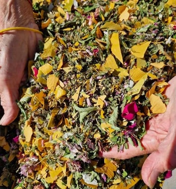Les trésors aromatiques sauvages