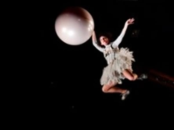 Cirque Hirsute : Aux étoiles