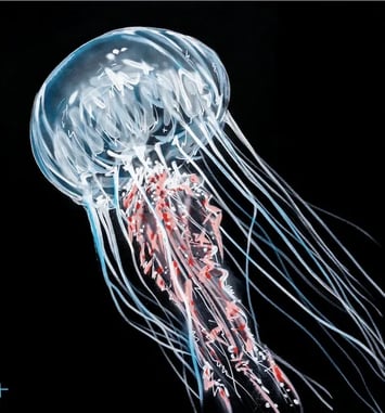 Bleu Sauvage : le street art s'invite au Musée Mer Marine