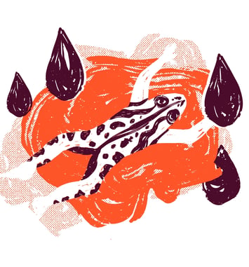 Ricochet