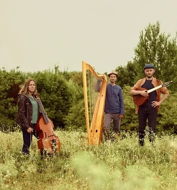 Bal de la Saint-Patrick avec les Curious Bards