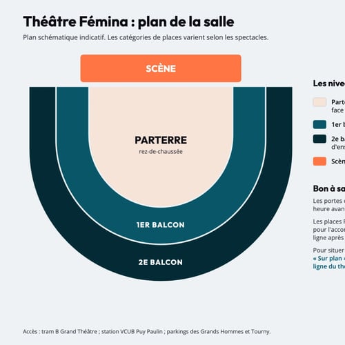Plan de la salle du Théâtre Fémina