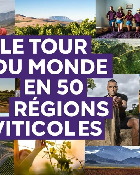Le tour du monde en 50 régions viticoles